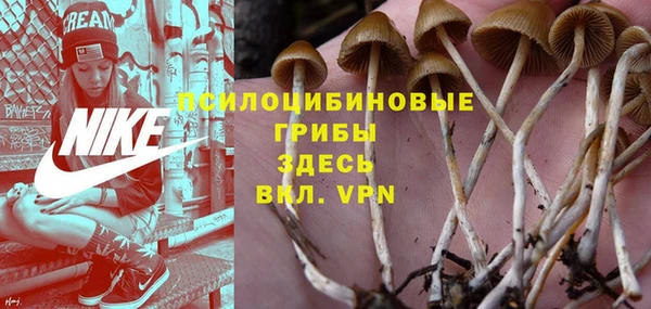 эйфоретик Алексин