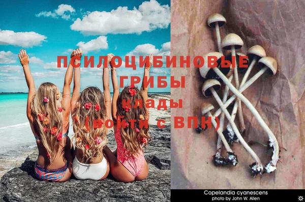 эйфоретик Алексин