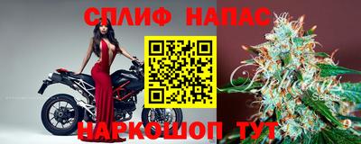 спиды Бердск