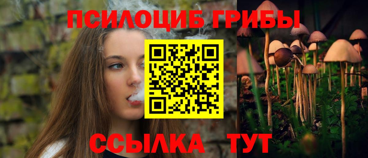 Псилоцибиновые грибы мухоморы Бердск