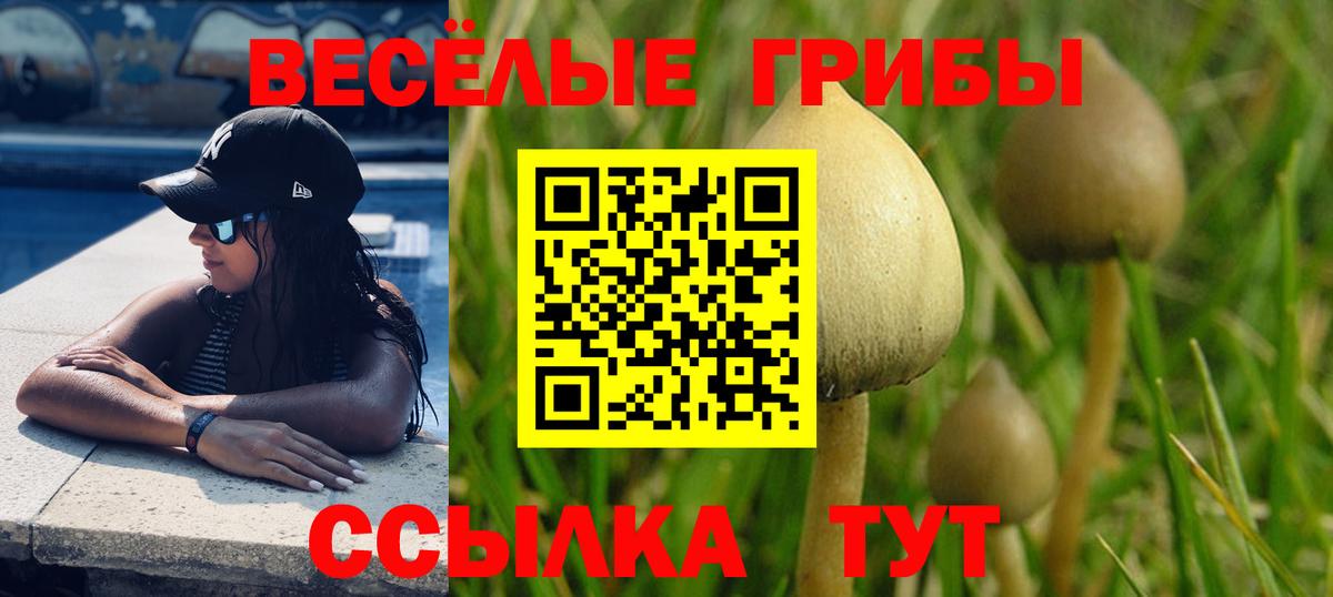 Бердск  Галлюциногенные грибы Magic Shrooms  Псилоцибиновые грибы мицелий  Вход с VPN 