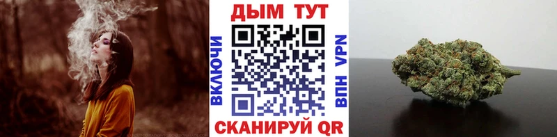 shop Telegram Бердск Конопля планчик